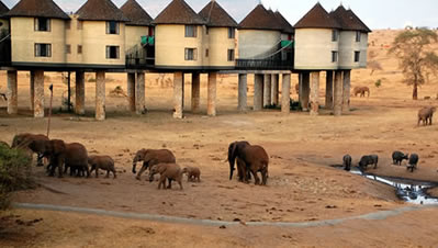 2 -Days-Tsavo East-Saltlick Lodge