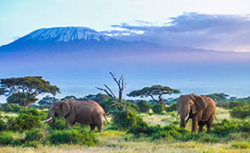 3-days-tsavo-east-amboseli-national-park